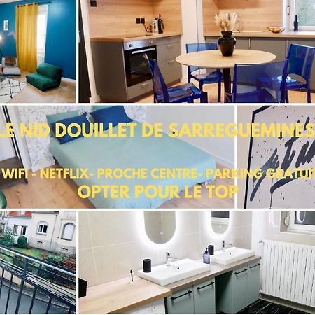 Apartmán Le Nid Douillet De Sarreguemines Exteriér fotografie